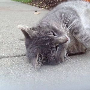 Meet your Posher, Kathleen